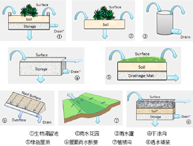 秋霞鲁丝片Av无码少妇