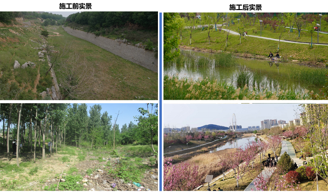 秋霞鲁丝片Av无码少妇