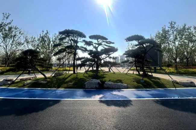 秋霞鲁丝片Av无码少妇