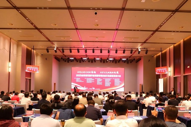 秋霞鲁丝片Av无码少妇