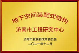 秋霞鲁丝片Av无码少妇