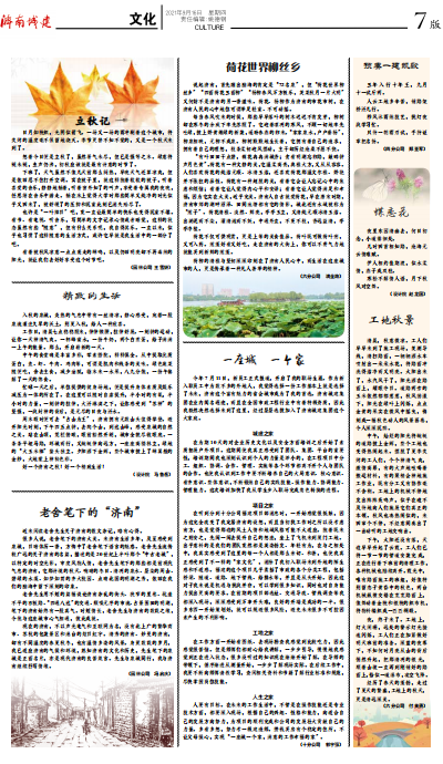 秋霞鲁丝片Av无码少妇