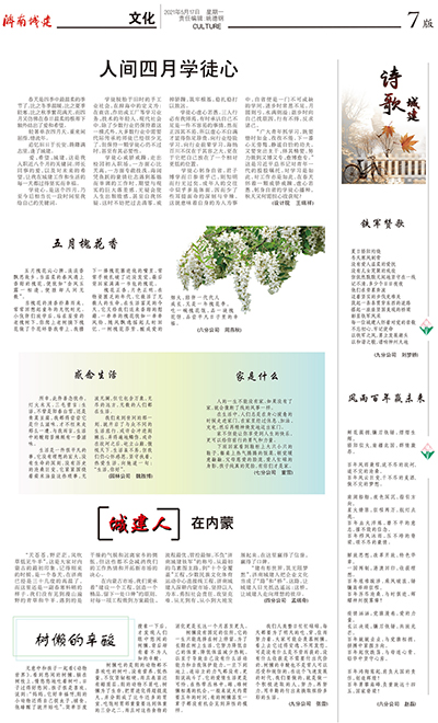 秋霞鲁丝片Av无码少妇