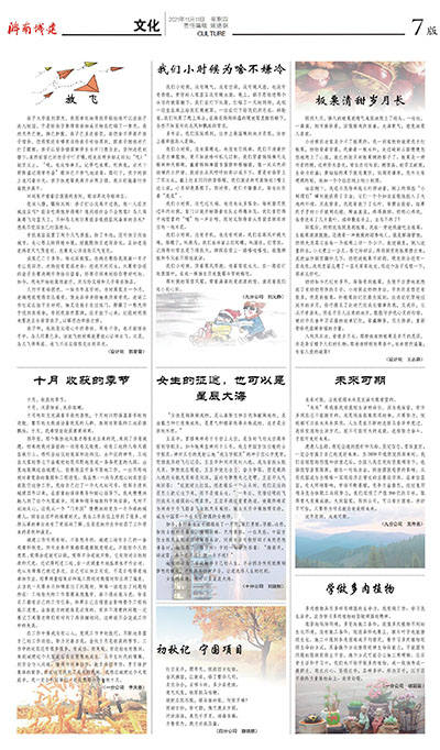 秋霞鲁丝片Av无码少妇