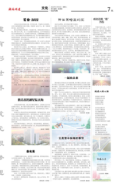 秋霞鲁丝片Av无码少妇