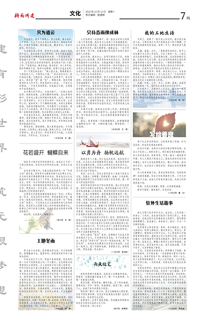 秋霞鲁丝片Av无码少妇