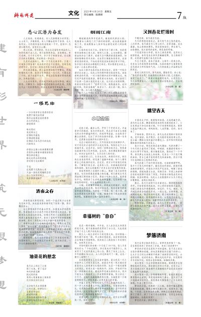 秋霞鲁丝片Av无码少妇