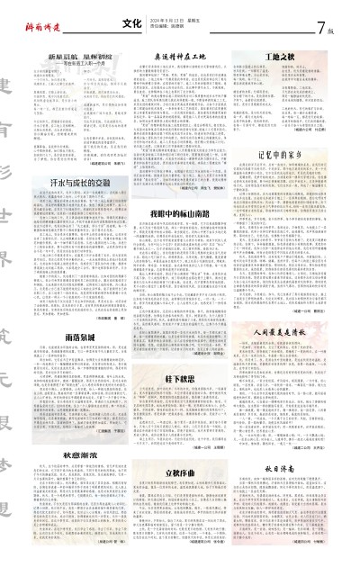 秋霞鲁丝片Av无码少妇