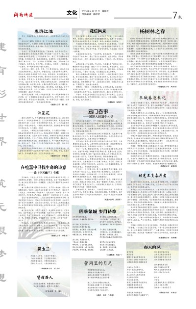 秋霞鲁丝片Av无码少妇