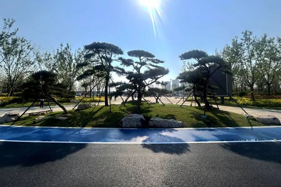 秋霞鲁丝片Av无码少妇