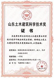 秋霞鲁丝片Av无码少妇