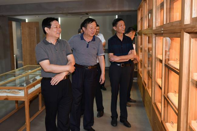 秋霞鲁丝片Av无码少妇