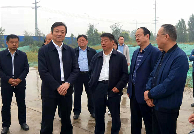 秋霞鲁丝片Av无码少妇