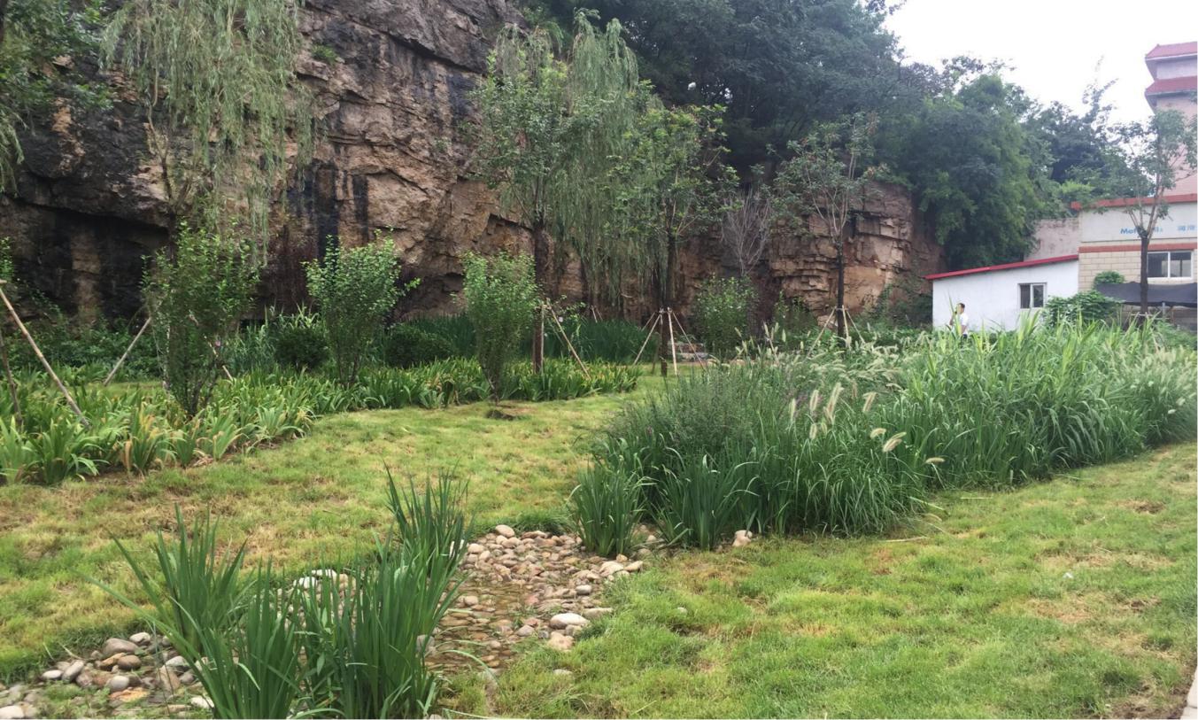 秋霞鲁丝片Av无码少妇