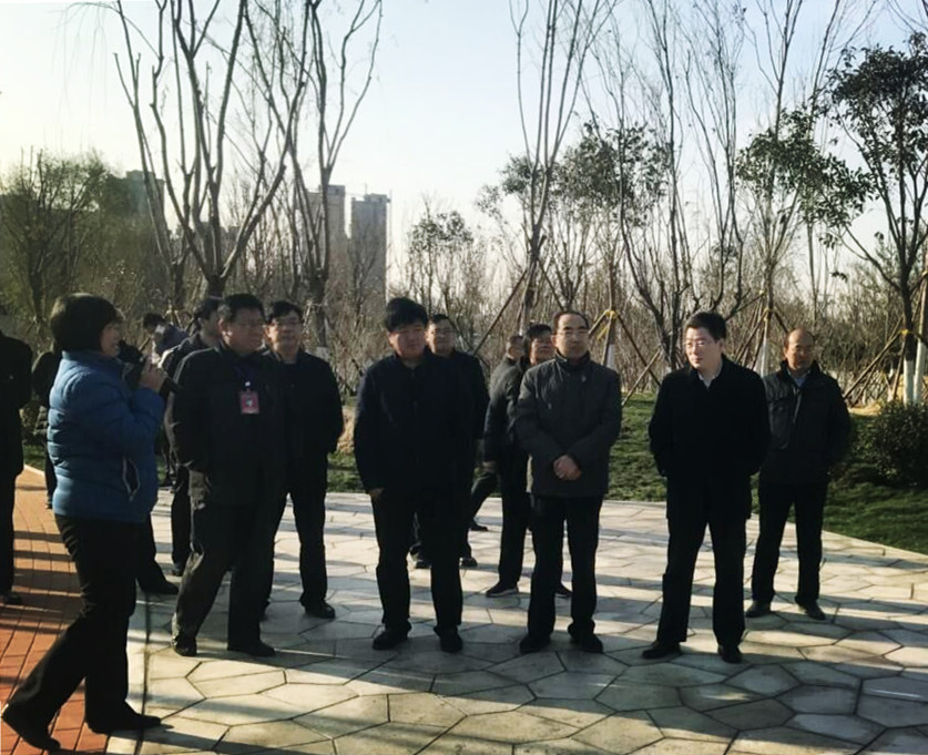 秋霞鲁丝片Av无码少妇